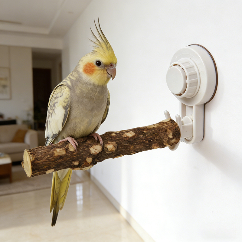 ขาตั้งนกแก้วแบบมีจุกดูด พร้อมท - Woodworking Joints บทวิจารณ์และราคา